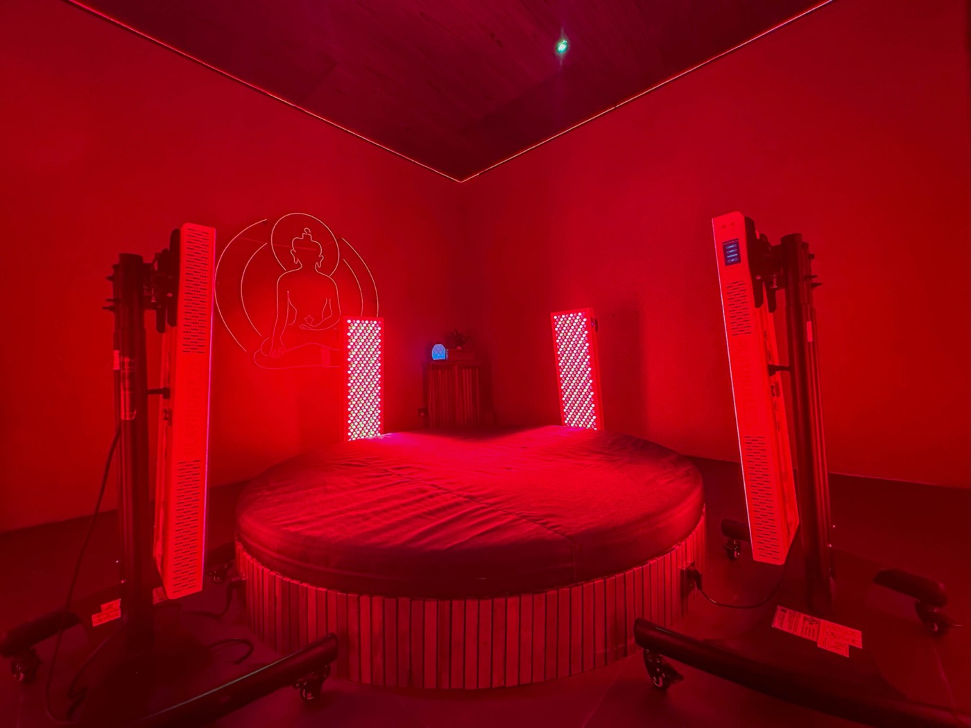 Red and near-infrared light therapy panel
